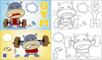 Vector illustration of funny hippo cartoon lift dumbbell , coloring book or page