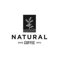 coffee bean plant branch hipster minimal logo vector with leaf simple line outline icon for natural cafe concept.