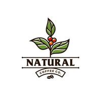 clásico café frijol y hoja rama natural línea sello logo vector icono diseño en Clásico hipster moderno hermosa estilo, prima café tienda bar icono