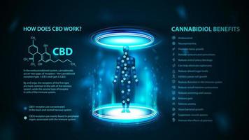 How does CBD works, dark and blue poster in digital style with infographics, cannabidiol chemical formula and cannabidiol benefits list vector