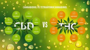 CBD vs THC, green information poster with comparison CBD and THC, list of differences with icons. vector