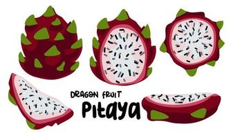 un conjunto de continuar Fruta o pitaya cortar en un blanco antecedentes. dibujado a mano vector ilustración en plano estilo para un verano publicidad tema. en diferente versiones de Fruta rebanar brillante rebanado frutas