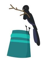 The magpie holds a branch in its beak. Forty sydine on a bucket. Vector illustration.