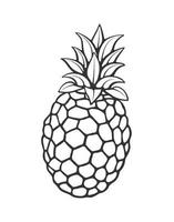 Outline doodle of pineapple vector