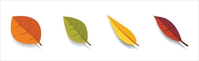 Autumn seasonal colorful leaves set with shadows, isolated on white background.vector Eps10 vector