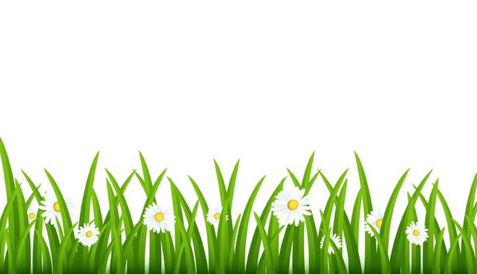 Grass vector illustration hills and grass on foreground