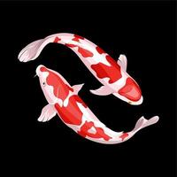 illustration of a pair of koi fish with red and white scales vector