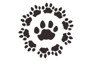 perro y gato pata png