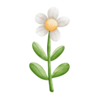Aquarell Blume, handgemalt Illustration, Frühling Jahreszeit png