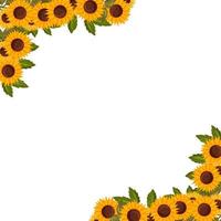 Spring square corner frame with sunflower flowers. Summer vector border