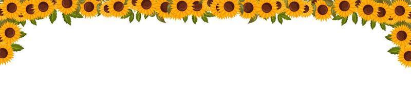 Spring horizontal frame with sunflower flowers. Summer vector banner