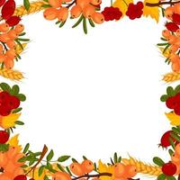Spring square frame with sea buckthorn berries, rosehip, cranberries, wheat branches and leaves. Summer vector border