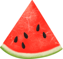 vattenmelon juice. färsk frukt png