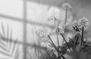 Abstract white flowers background. Window shades, flowers and palm leaves. Copy space. summer party. blurred background. photo