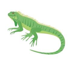 el personaje. iguana lagarto. reptil. vector ilustración