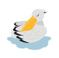 Pelican bird illustration. Pelican character vector