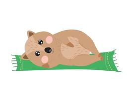 Illustration of animal Quokka. Quokka character vector