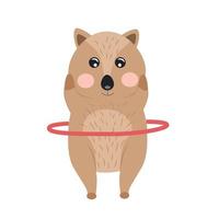 Illustration of animal Quokka. Quokka character vector