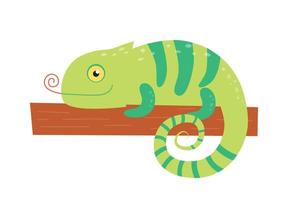 Illustration of a chameleon on a branch. Lizard on the tree vector