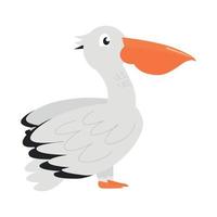 Pelican bird illustration. Pelican character vector