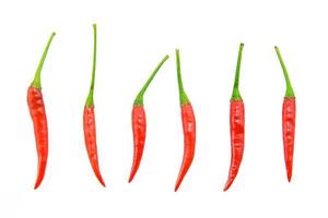 red chilies on white background photo