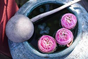 Beautiful lotus floating in a jar with water dipper photo