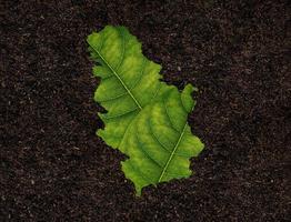 Serbia map made of green leaves on soil background ecology concept photo