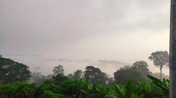 Reverse Waterfall The Mountain Sajak Bangladesh photo