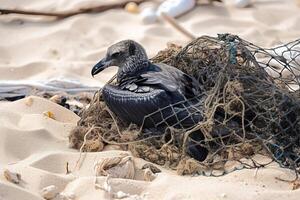 Bird, seagull trapped in plastic garbage lying on the beach. The concept of an ecological disaster caused by plastic garbage. photo
