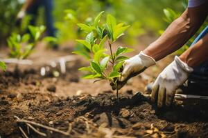 un jardinero en guantes plantas joven árbol plántulas dentro el suelo. el concepto de primavera y el comenzando de trabajo en el jardín. ai generado foto