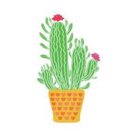 cactus hogar suculento planta vector