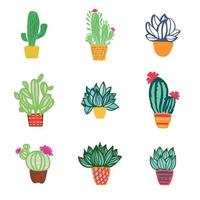 Cactus home succulent plant vector