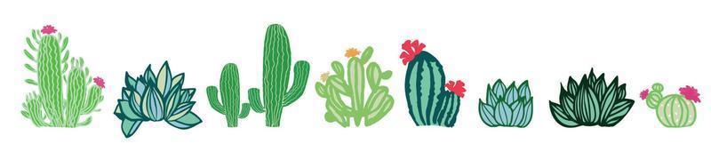 Cactus home succulent plant vector