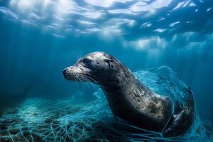 A baby seal trapped in plastic debris floating in the North Pacific, underwater photography. The concept of an ecological disaster caused by plastic garbage. photo