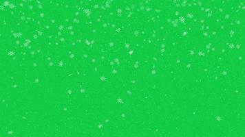 snow fall on green screen,white snow flakes flying animation,happy new year and merry christmas concept. video