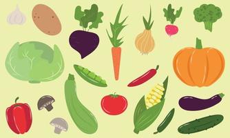 a large set of different vegetables vector