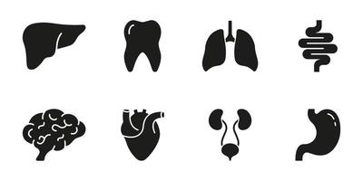 Healthcare Glyph Icon. Internal Organ Anatomy Black Pictogram. Human Brain, Intestine, Urinary System, Tooth, Stomach, Lung, Liver, Heart Silhouette Icon Set. Isolated Vector Illustration.