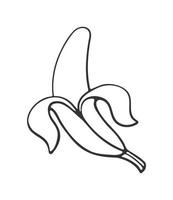 Outline doodle of peeled banana vector