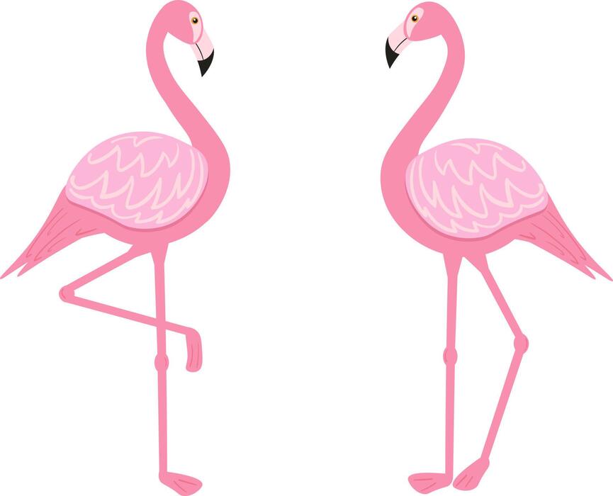 flamingo♡ flamingo_1__98140.1691539941.