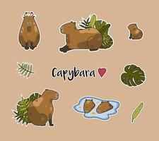 Capybara stickers in a cartoon flat style. Set of stickers with cute and funny capybaras. vector