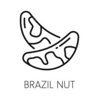 Brazilian nut food snack spotted seed outline icon vector