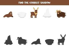 Find the correct shadows of cute polar animals. Logical puzzle for kids. vector