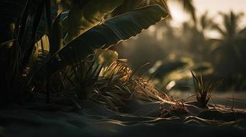 Tropical beach with palm trees and sand dunes at sunset,blue sea photo