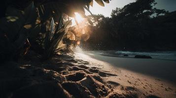 Tropical beach with palm trees and sand dunes at sunset,blue sea photo