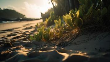 Tropical beach with palm trees and sand dunes at sunset,blue sea photo