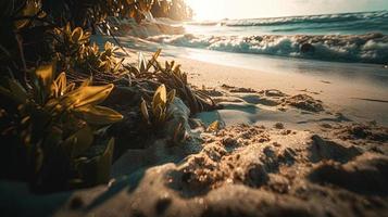 tropical playa con palma arboles y arena dunas a puesta de sol, azul mar foto