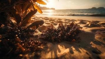 Tropical beach with palm trees and sand dunes at sunset,blue sea photo