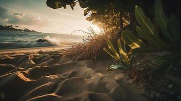 Tropical beach with palm trees and sand dunes at sunset,blue sea photo