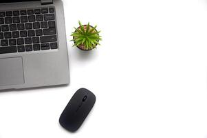 Top view of laptop, table plant and mouse on white cover background with customizable space for text. Copy space photo