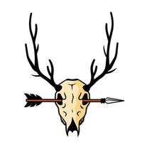 Skull of deer with arrow in head. Hunting trophy with horns. Antler of stag or reindeer with headshot. Scary black and white drawing for Halloween. vector